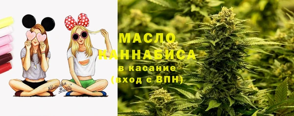 сатива Богородицк