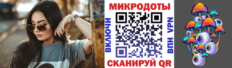Псилоцибиновые грибы Psilocybine cubensis  Белозерск 